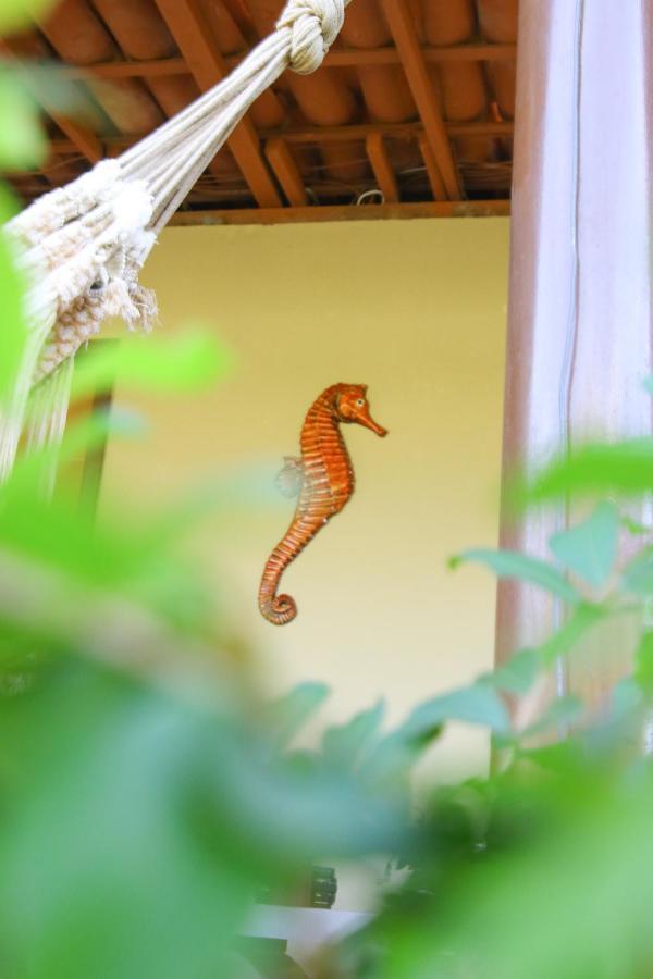 Apartmán Casa Da Tete Fernando de Noronha Exteriér fotografie