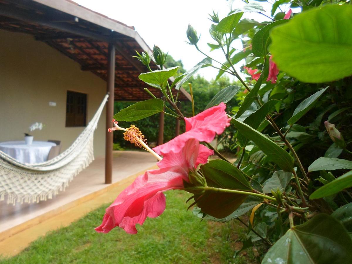 Apartmán Casa Da Tete Fernando de Noronha Exteriér fotografie
